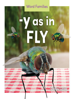 cover image of -y as in Fly